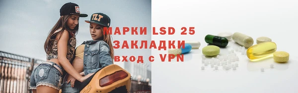 хмурый Алзамай