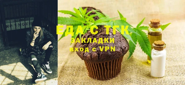 хмурый Алзамай